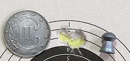 TX200 Leach sight-in
