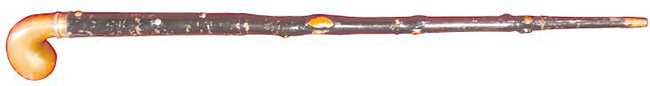 shillelagh air cane