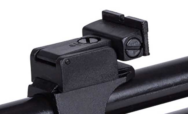 Dragonfly rear sight