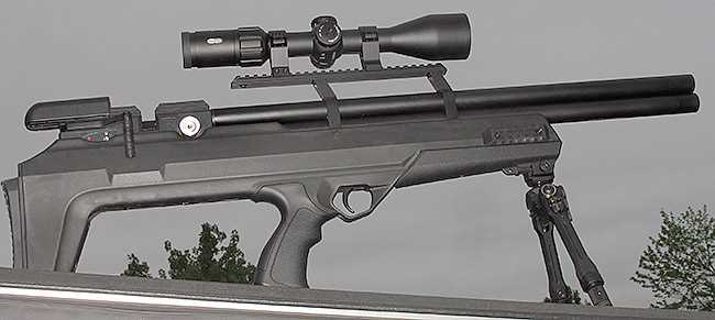 Avenger Bullpup on bipod