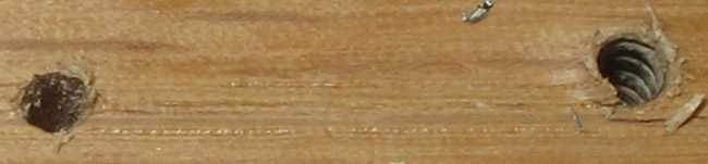 Vessel screw holes