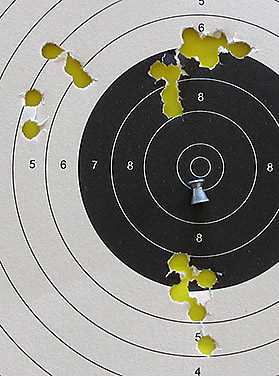 Crosman Precision sight first target