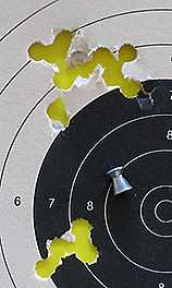 Crosman Precision sight second target