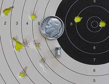 Webley Sig Match target