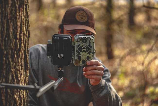 Summer Scouting Trail Camera