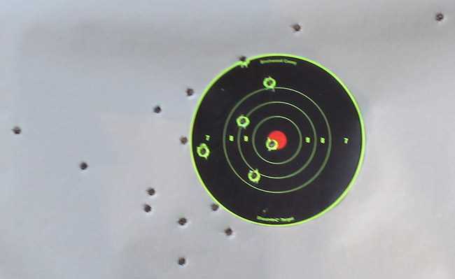 P365 target 2