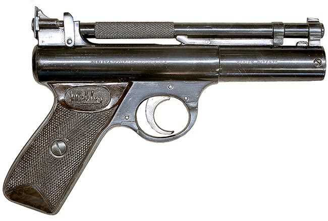 Webley Senior