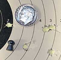 Webley Senior Baracuda 15 1
