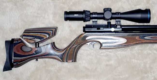 S510XS Ultimate Sporter scoped