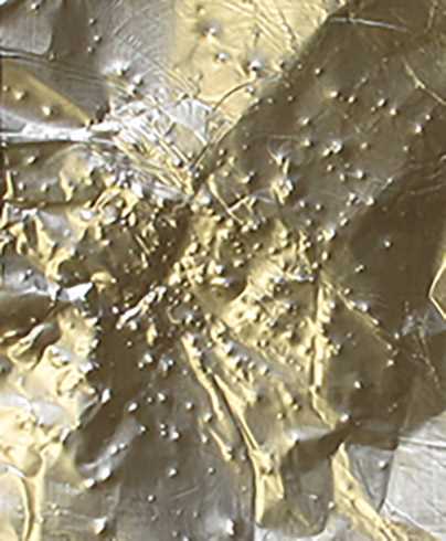 Bug-A-Salt 2 pattern