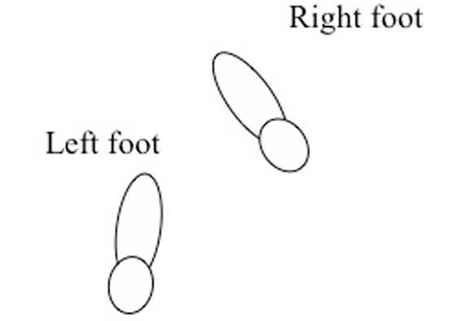 feet