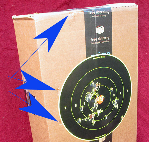 slingshot target