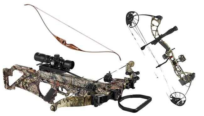 crossbow, traditional bow, and compound bow.