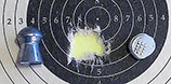 RAW MicroHunter JTS group