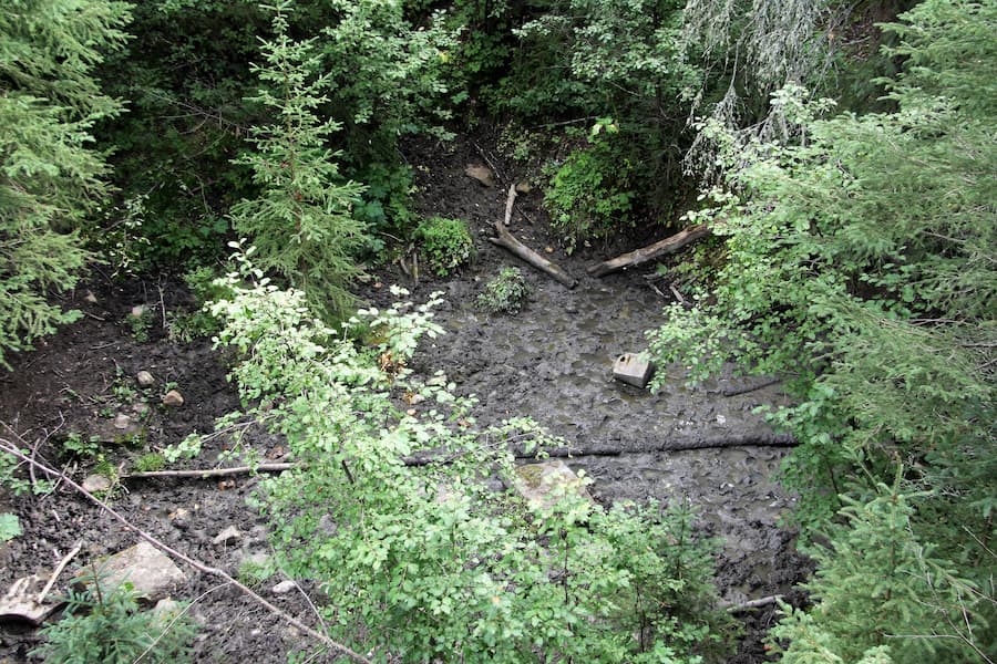 muddy area showing hoof prints
