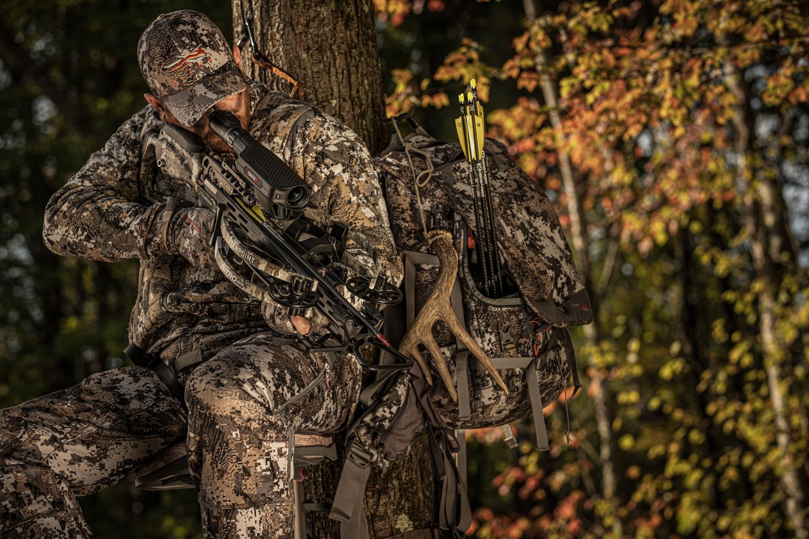 Crossbow hunter in tree stand takes aim at quarry below. 