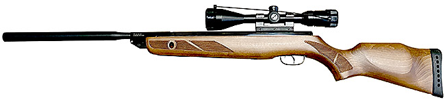 Gamo Hunter Extreme