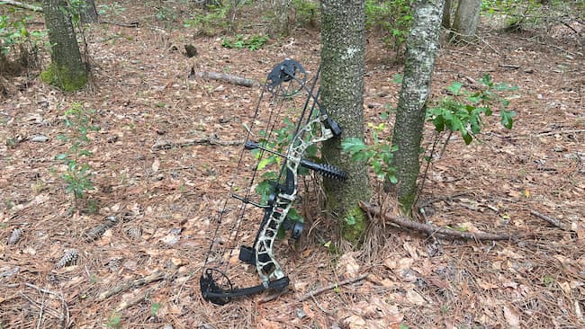 Compound Bow leaning on a tree trunk.