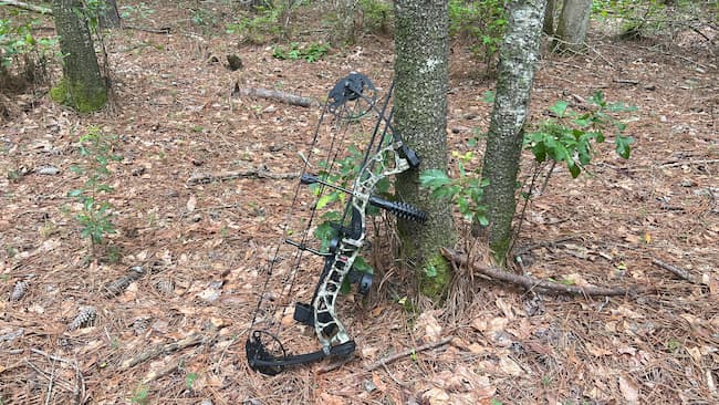 Compound bow leaning on a tree trunk.