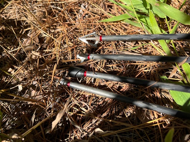 4 arrows clustered together in the grass