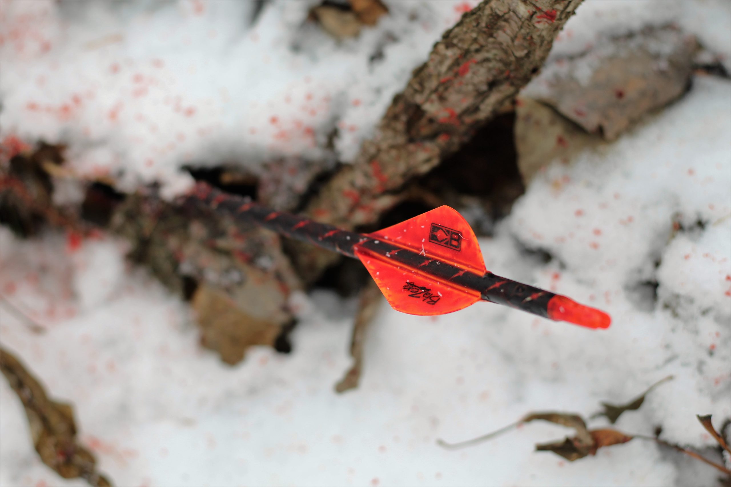 Arrow shaft protruding from blood spattered snow.