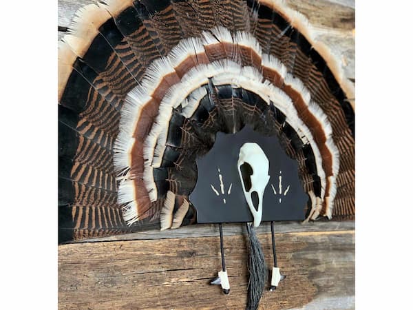 Do All Artistic Turkey Fan Mount