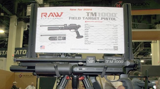 RAW field target pistol