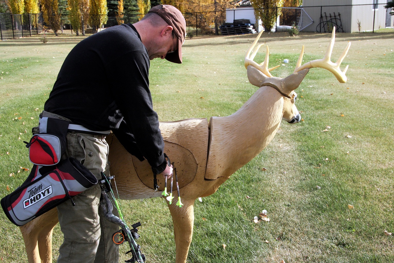 author pulling arrows from a 3D buck target.