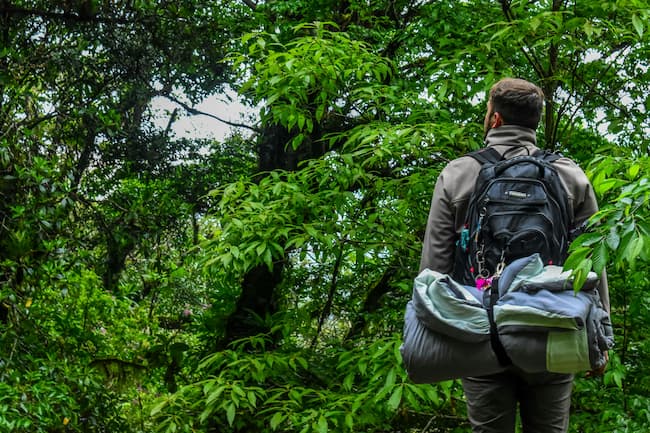 hiker with backpack and bedroll looking into the trees on the trail ahead.