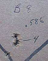 Diana 34 Baracuda 8 10 yards