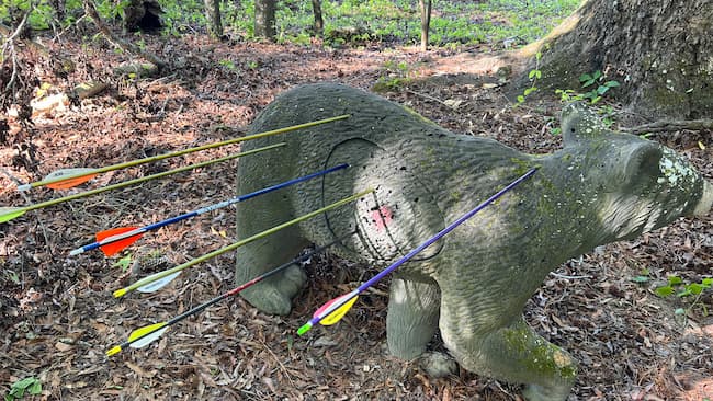 a 3d bear target with arrows plunged into it at various locations indicating how accurate each shooter is. 