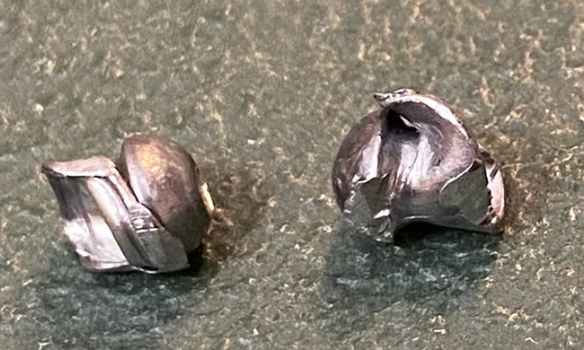 Avenge-X damaged pellets