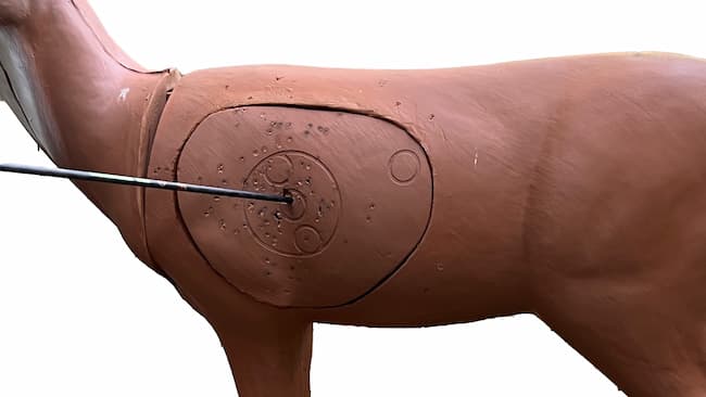 perfect shot - 3D deer target with arrow shot into the perfect spot
