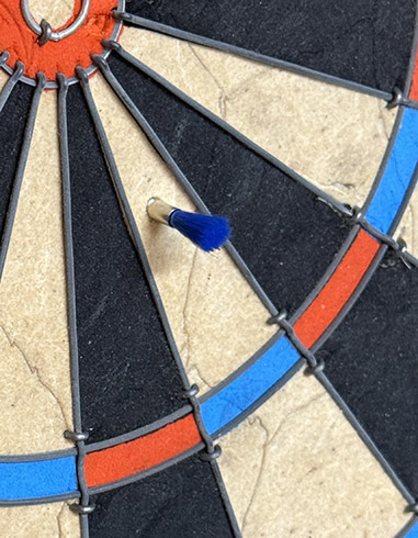Pioneer dart