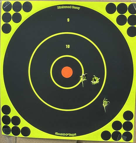 190 dome group
