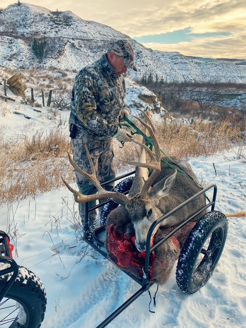 author with a deer harvest trailered behind his ebike