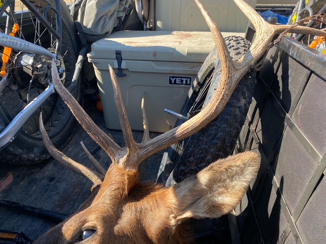 trophy rack in the back of the hunting party truck