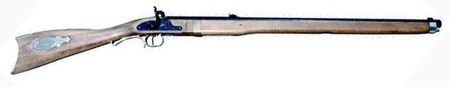 Pioneer BB gun