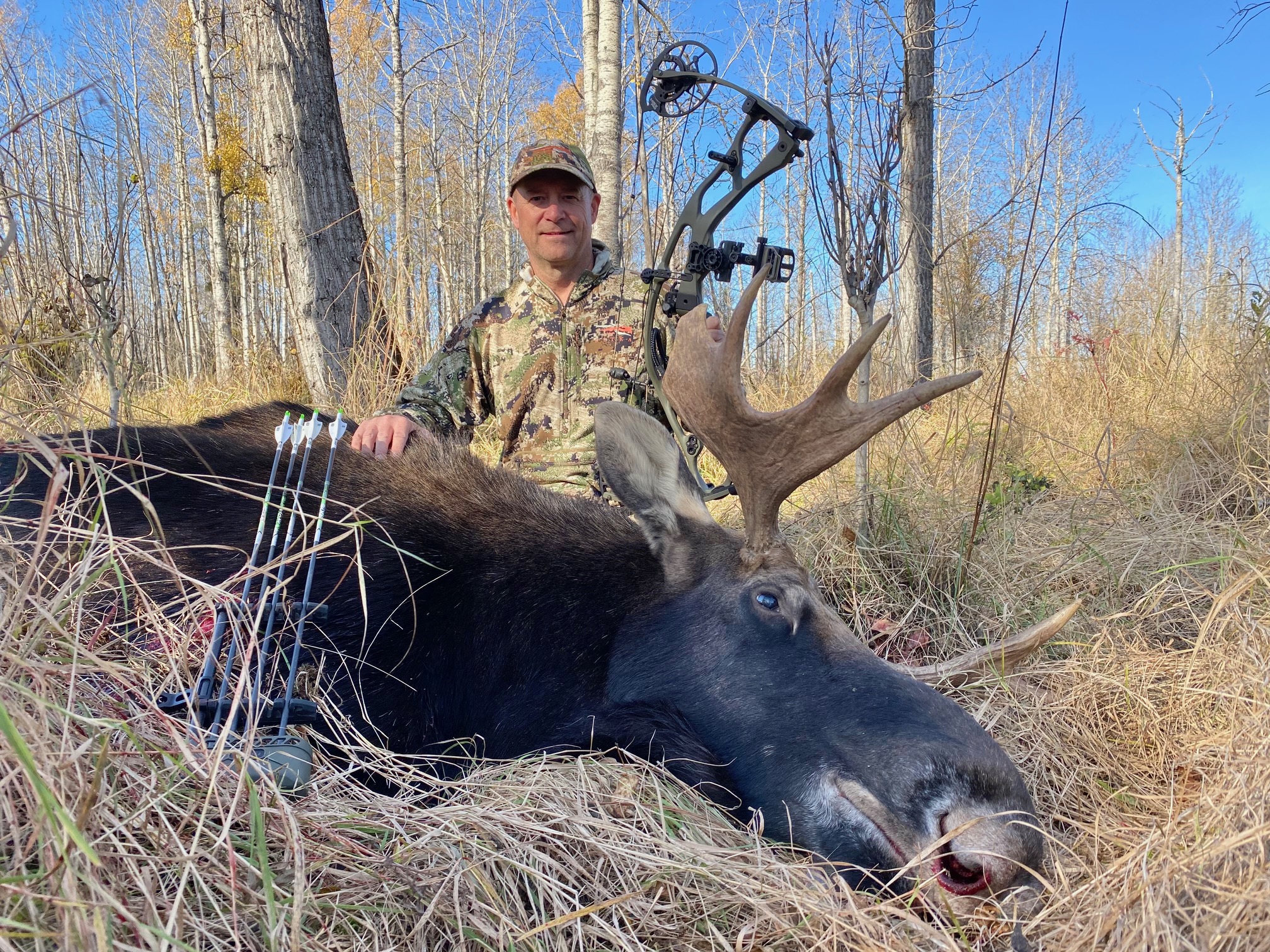 Kevin Wilson's moose harvest with compound bow.