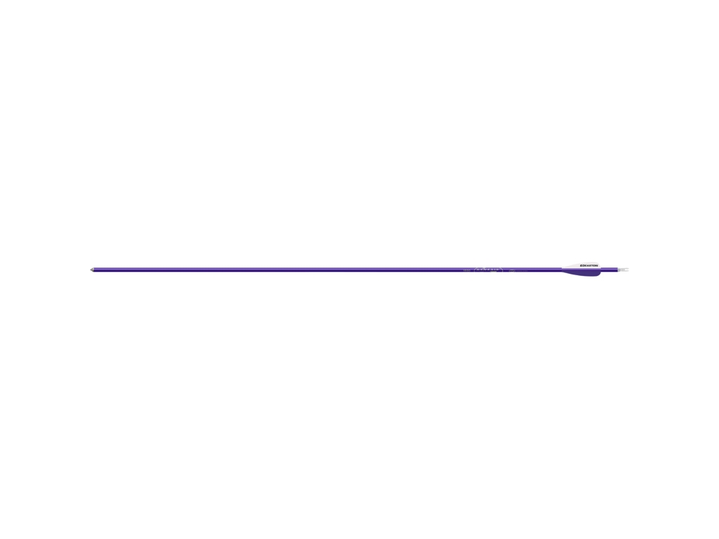 Easton Genesis Arrows 3 in. Vane Purple, 36 count