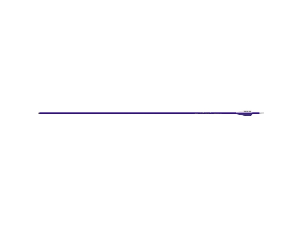Easton Genesis Arrows, Image 1