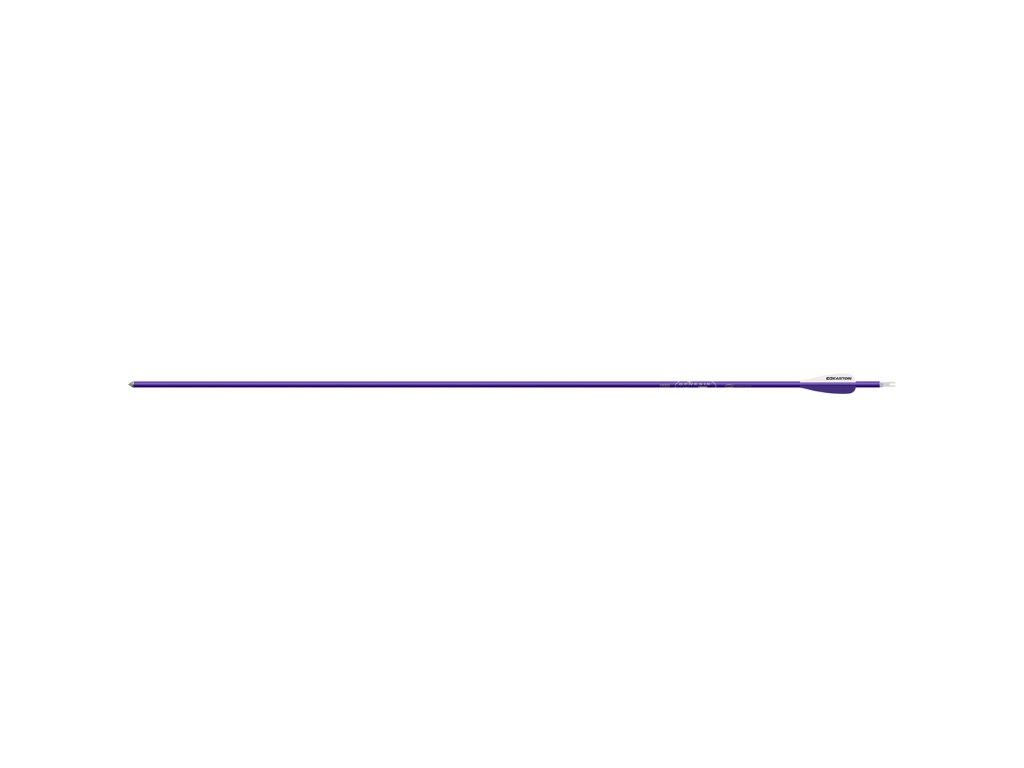 Easton Genesis Arrows 3 In. Vane Purple, 36 Count