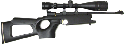 Crosman 2250B Action & Air Venturi Custom Stock