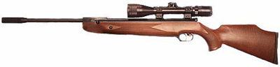 Beeman R9 Goldfinger Air Rifle
