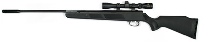 Beeman Panther Air, Image 1