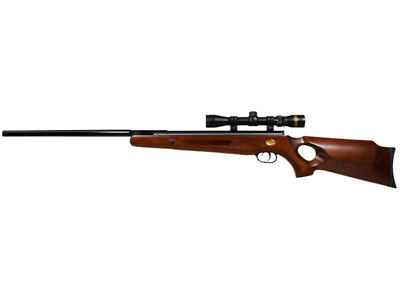 Beeman Bear Claw Air Rifle, TH Stock, RS2 Trigger