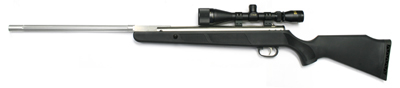 Beeman Silver Sting Air Rifle Combo