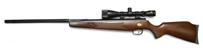 Beeman Heavy Target Rifle Combo