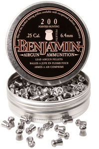 Benjamin Destroyer .25, Image 1