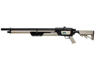 Benjamin Rogue ePCP Air Rifle